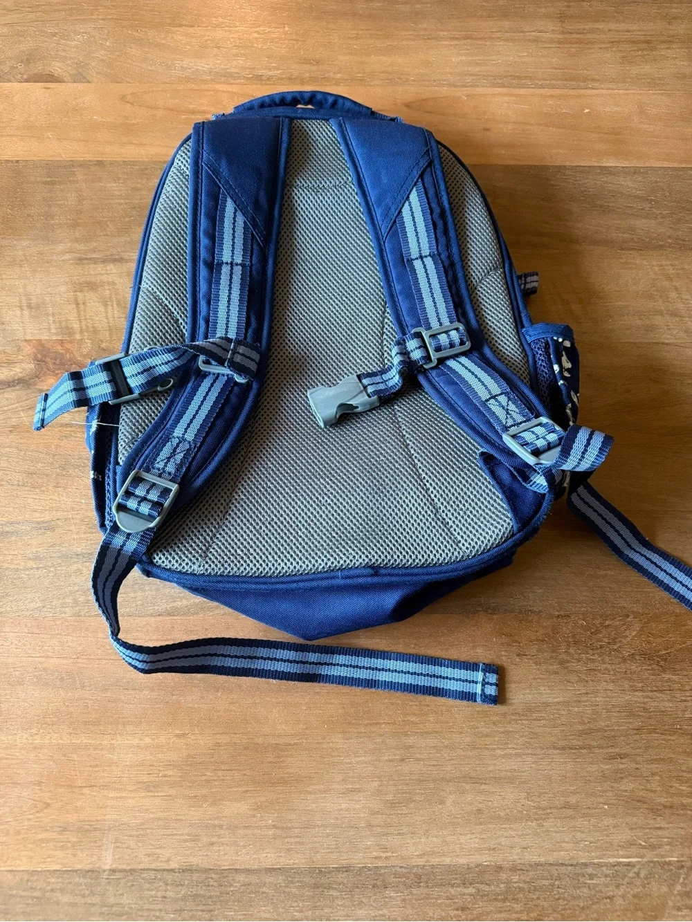 Pottery Barn Kids Navy Dinosaur Skeleton Backpack Mackenzie Glow in the Dark